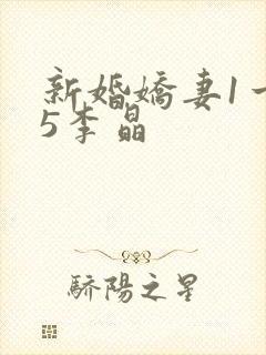 新婚娇妻1一25李晶