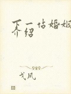 下一站婚姻剧情介绍