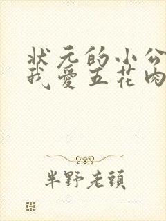 状元的小公主(我爱五花肉)