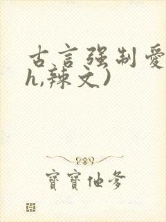 古言强制爱(高h,辣文)