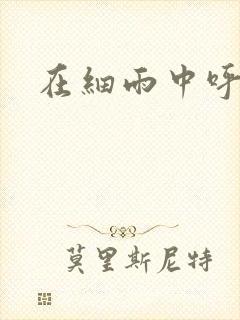 在细雨中呼喊封面