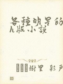 各种明星的综艺h版小说封面