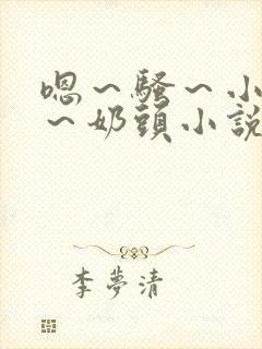 嗯～骚～小淫妇～奶头小说封面