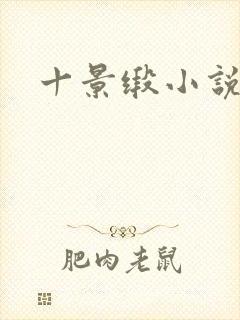 十景缎小说