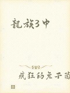 龙族3中