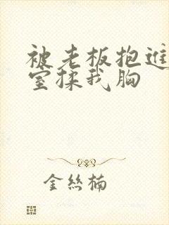 被老板抱进办公室揉我胸