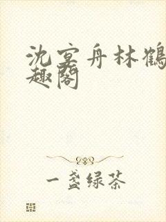 沈宴舟林鹤眠笔趣阁