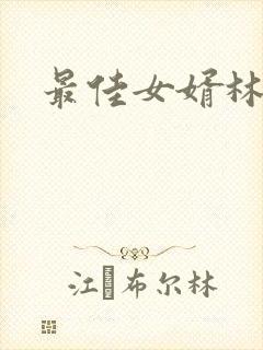 最佳女婿林凡封面