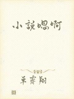 小说嗯啊