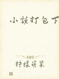 小说打包下载封面