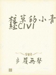 校草的小青梅不经C1V1