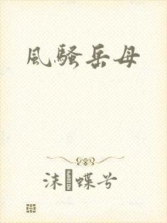 风骚岳母
