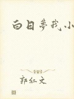 白日梦我小说