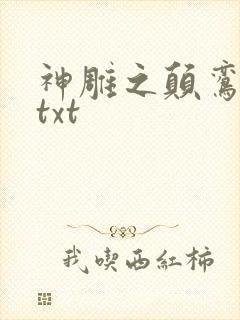 神雕之颠鸾倒凤txt