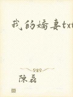 我的娇妻txt