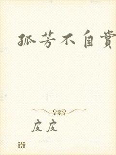 孤芳不自赏小说