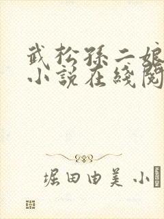 武松孙二娘云雨小说在线阅读