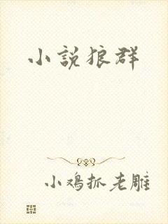 小说狼群