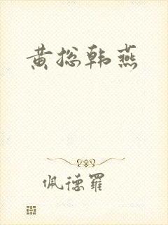 黄总韩燕封面