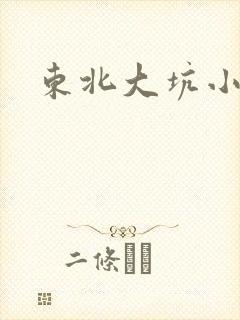 东北大坑小说