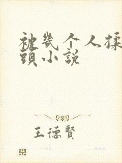 被几个人揉搓奶头小说封面