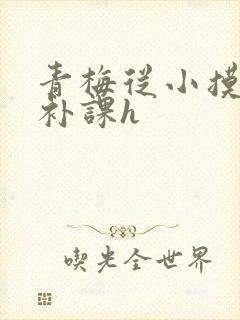 青梅从小摸到大补课h