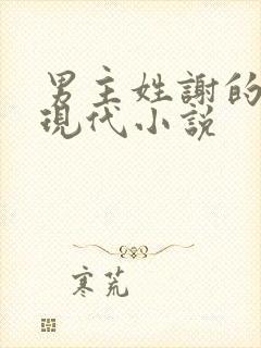 男主姓谢的总裁现代小说