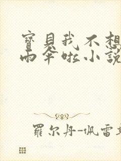 宝贝我不想带小雨伞啦小说