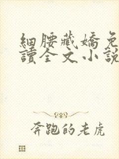 细腰藏娇免费阅读全文小说苏珞浅