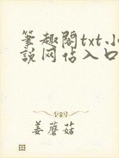 笔趣阁txt小说网站入口