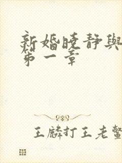 新婚晓静与翁公笫一章