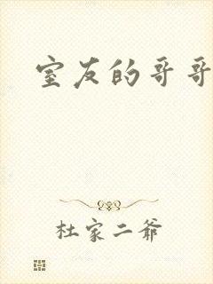 室友的哥哥封面