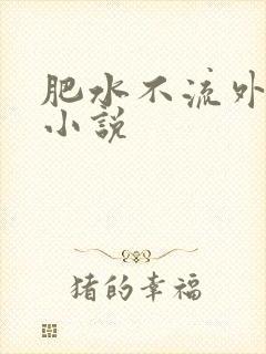 肥水不流外人田小说