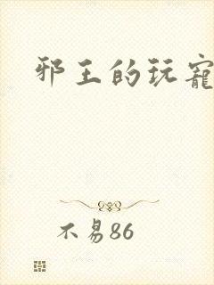 邪王的玩宠封面