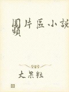 图片区小说区视频