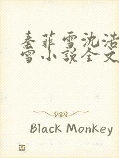 秦菲雪沈浩秦菲雪小说全文免费阅读求书