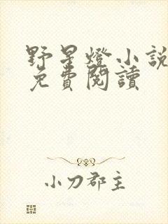 野星灯小说全文免费阅读