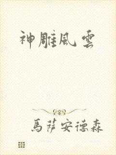 神雕风云