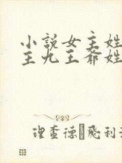 小说女主姓颜男主九王爷姓寒封面