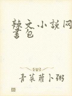 辣文小说网第二书包