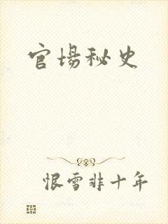 官场秘史