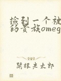 捡到一个被抹布的贵族omega