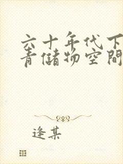 六十年代下乡知青储物空间封面