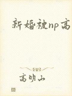 新婚被np高h封面