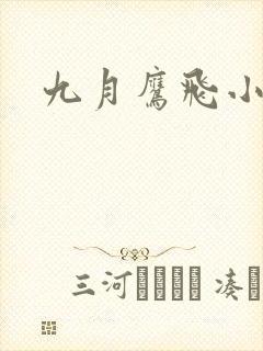 九月鹰飞小说