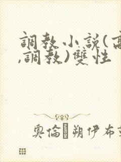 调教小说(高h,调教)双性