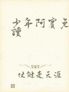 少年阿宾免费阅读