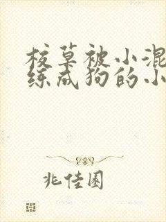 校草被小混混训练成狗的小说封面