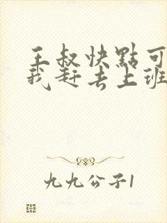 王叔快点可以吗我赶去上班封面