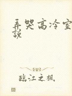 弄哭高冷室友小说